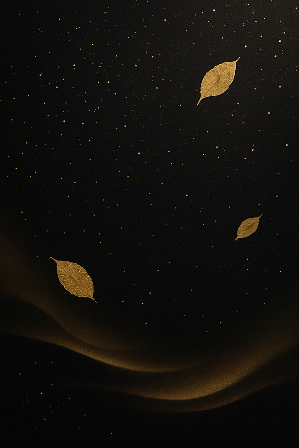 特別なオファーをお届けします