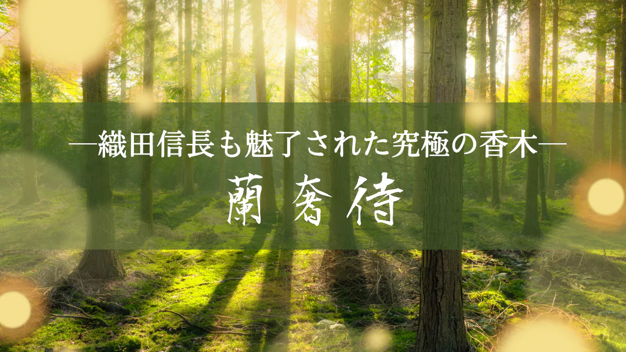 幻の香木 蘭奢待とは？織田信長も魅了された究極の香木